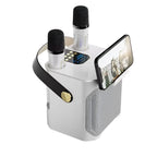 High-power Bluetooth karaoke speaker with two microphones