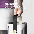 High-power Bluetooth karaoke speaker with two microphones