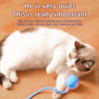Balle roulante intelligente et interactive pour chats