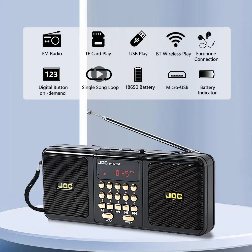 Bärbar högtalare med Bluetooth och FM-radio, svart