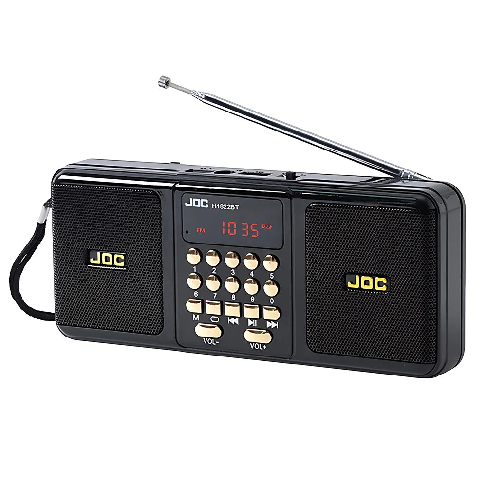 Bärbar högtalare med Bluetooth och FM-radio, svart