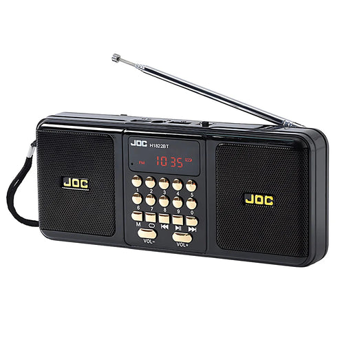 Bärbar högtalare med Bluetooth och FM-radio, svart